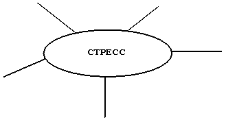 Реферат: Стрессы в управлении